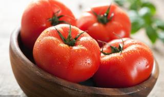 一斤小番茄的热量 番茄多少钱一斤